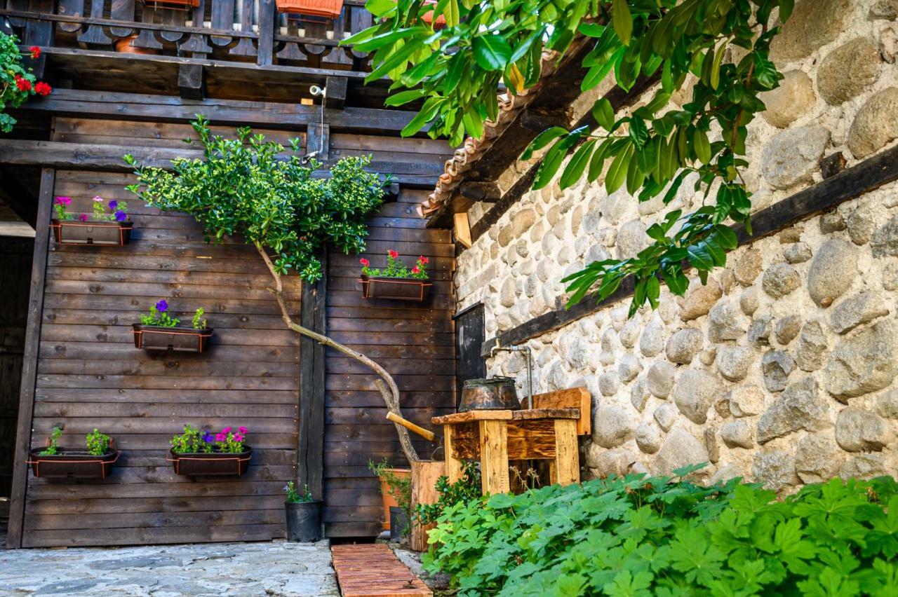 Banskovilla Zlateva House エクステリア 写真