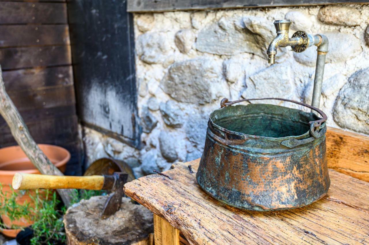 Banskovilla Zlateva House エクステリア 写真